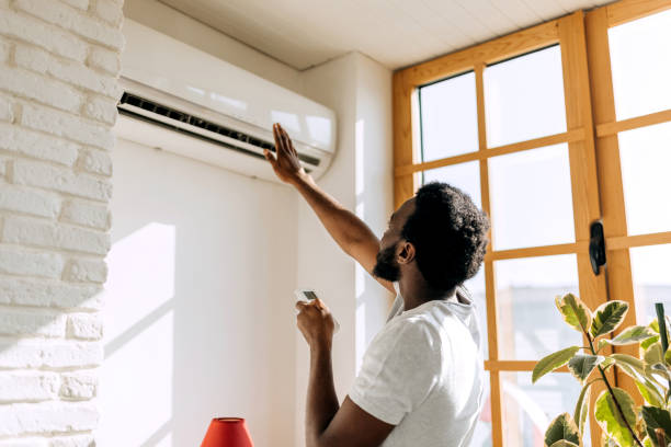 Best Solar-powered HVAC Systems in Paw Paw Lake, MI